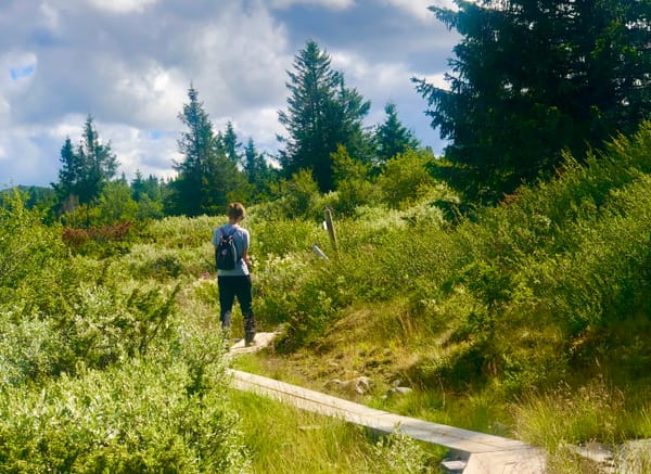 På hvilken vei sender vi våre barn og samfunnet de skal arve? Foto: Maja Lunde